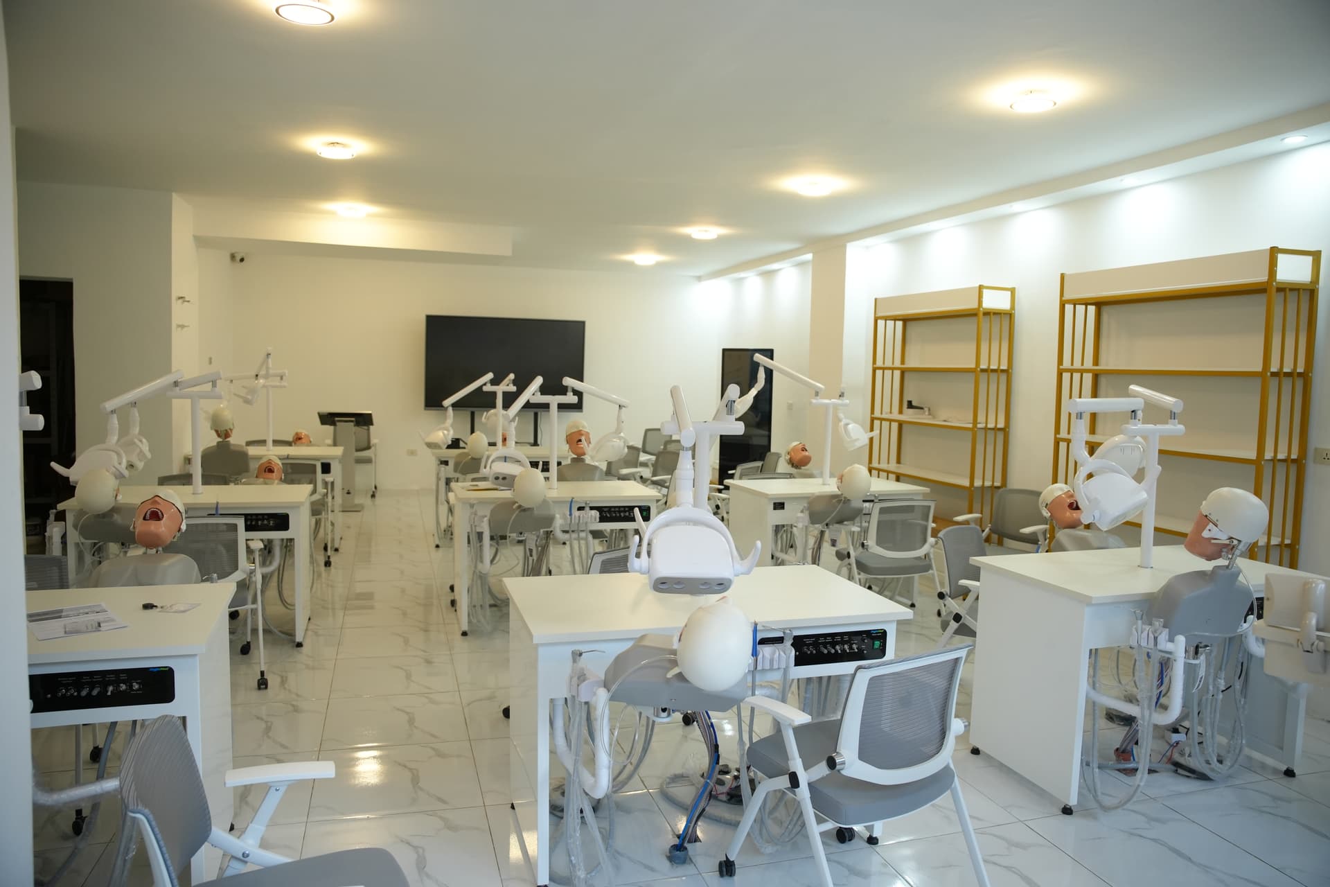 Clinical training with presentation screen
