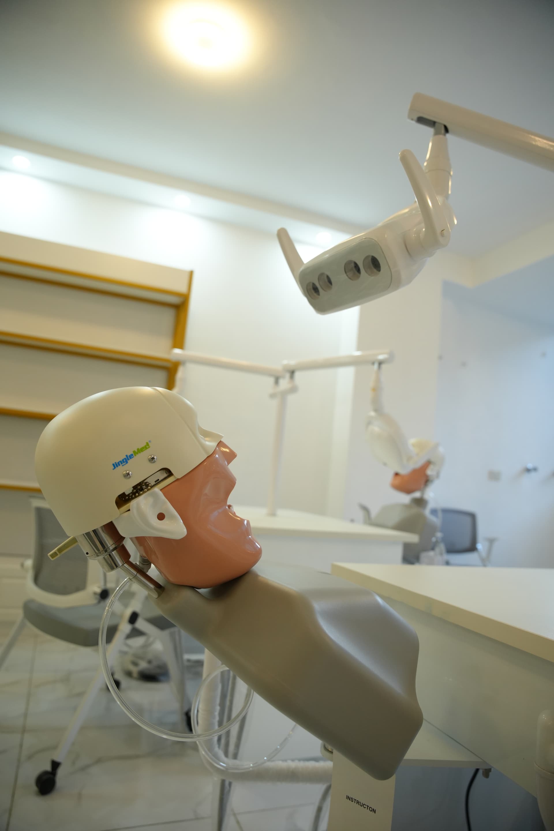 Dual mannequin dental stations