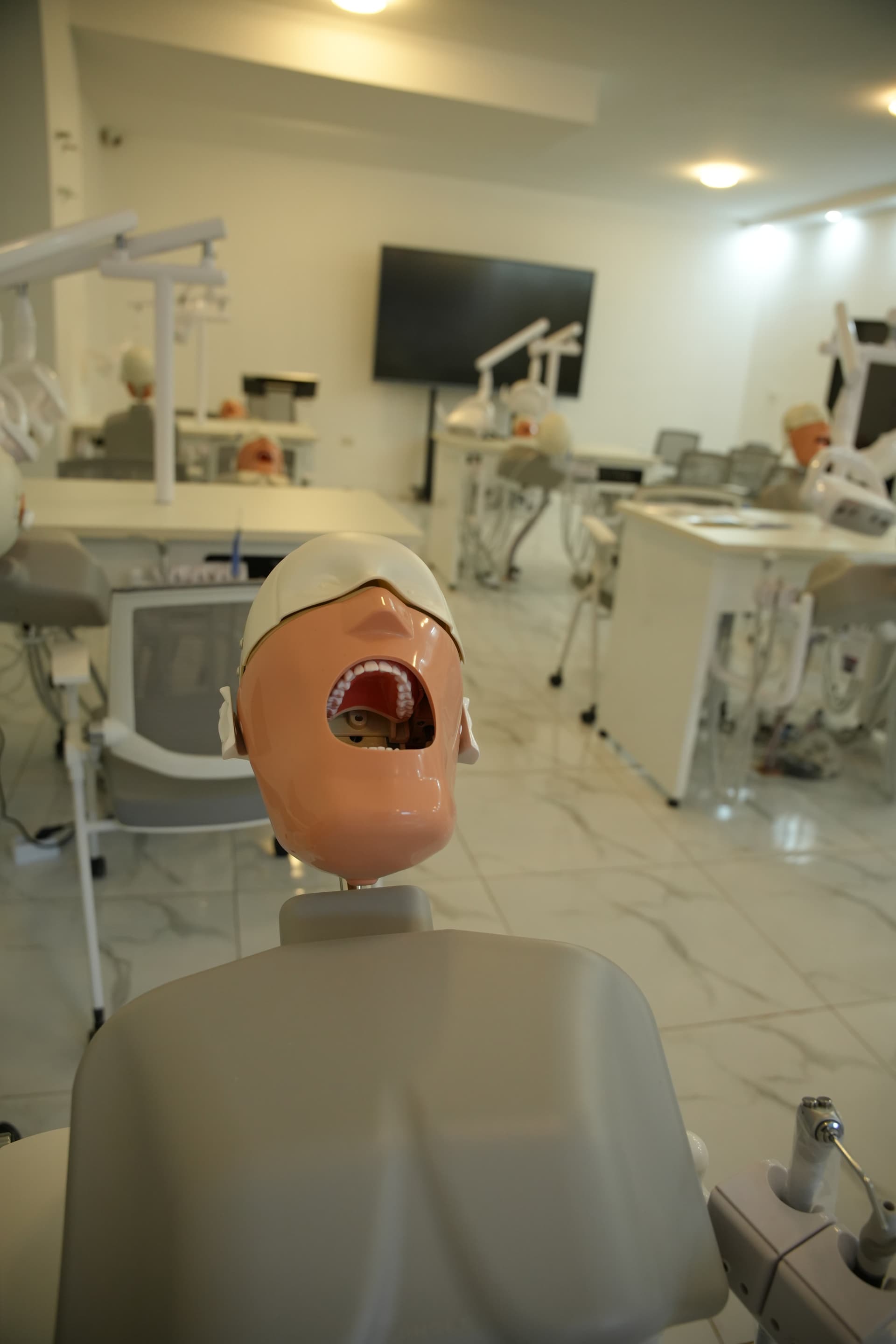 Dental mannequin training session